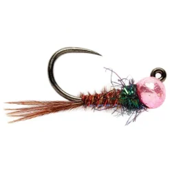 Orvis Nymphs|Barbless Roza'S Pink Pheasant Tail