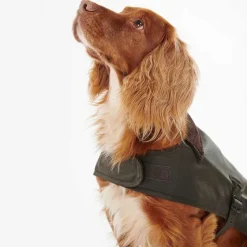 Orvis Dog Jackets|Barbour® Wax Dog Jacket Olive