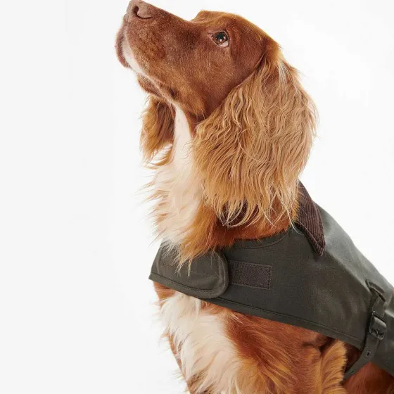Orvis Dog Jackets|Barbour® Wax Dog Jacket Olive
