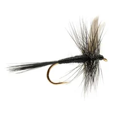 Orvis Dry Flies|Black Gnat