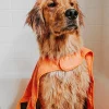 Orvis Travel Accessories|Cape Towel Orange