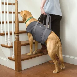 Orvis Steps, Lifts & Traction|Dog Lift