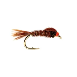 Orvis Nymphs|English Tail Pheasant
