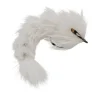 Orvis Saltwater Flies|Feather Changer White