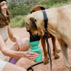 Orvis Travel Accessories|Flip Dog Travel Bottle Green
