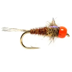 Orvis Nymphs|Hot Head Euro Pheasant Tail Orange