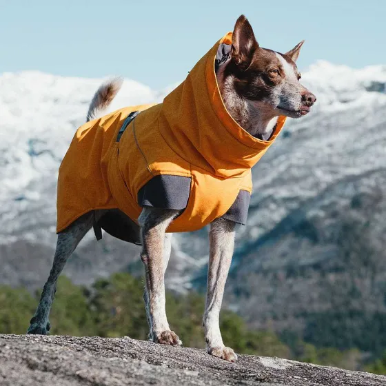 Orvis Dog Jackets|Hurtta® Expedition Dog Parka Orange