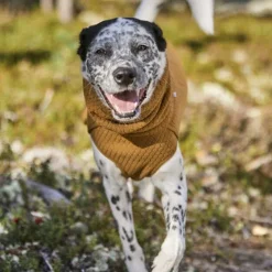 Orvis Dog Jackets|Hurtta Warming Midlayer Eco Dog Jacket