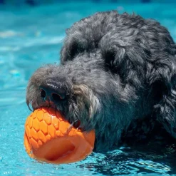 Orvis Toys|Hydro Handler Dog Toy