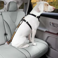 Orvis Travel Accessories|Kurgo® Seatbelt Buckle Dog Tether