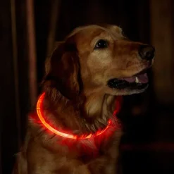 Orvis Collars|Led Rechargeable Safety Collar