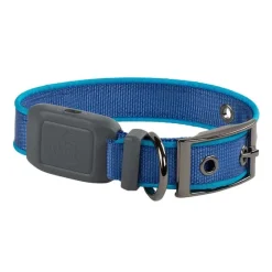 Orvis Collars|Nitedog® Rechargeable Led Dog Collar Blue