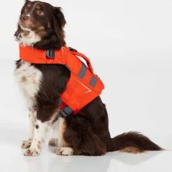 Orvis Life Vests|Nrs Dog Life Jacket Orange