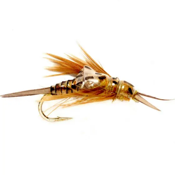 Orvis Nymphs|Oe Stonefly Nymph Golden