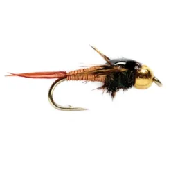 Orvis Nymphs| Cj Nymph Copper