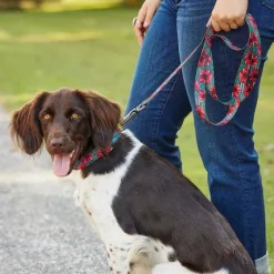 Orvis Leashes| X Fishe® Wear Leash Beauty&Bonefish