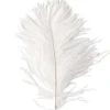 Orvis Materials|Ostrich Herl White
