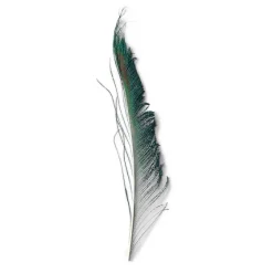 Orvis Materials|Peacock