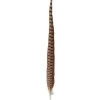 Orvis Materials|Pheasant Tail Natural Brown