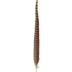 Orvis Materials|Pheasant Tail Natural Brown