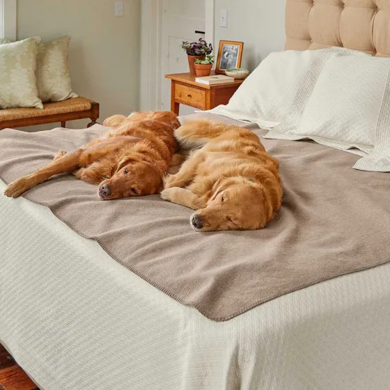 Orvis Throw Blankets|Reversible Water-Resis T Throw Tan
