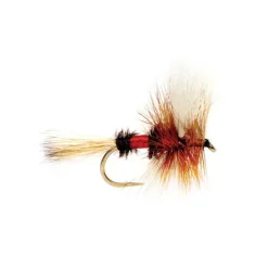 Orvis Dry Flies|Royal Wulff
