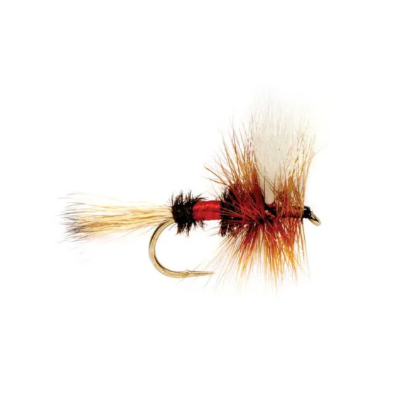 Orvis Dry Flies|Royal Wulff
