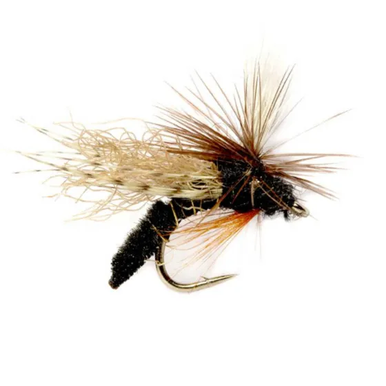 Orvis Dry Flies|Spotlight Caddis Emerger Black