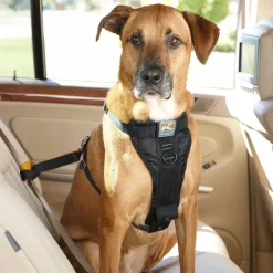 Orvis Travel Accessories|Tru-Fit Smart Harness Car Restraint Black
